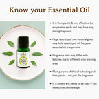 Mitti Se Tea Tree Essential Oil | Grocsy