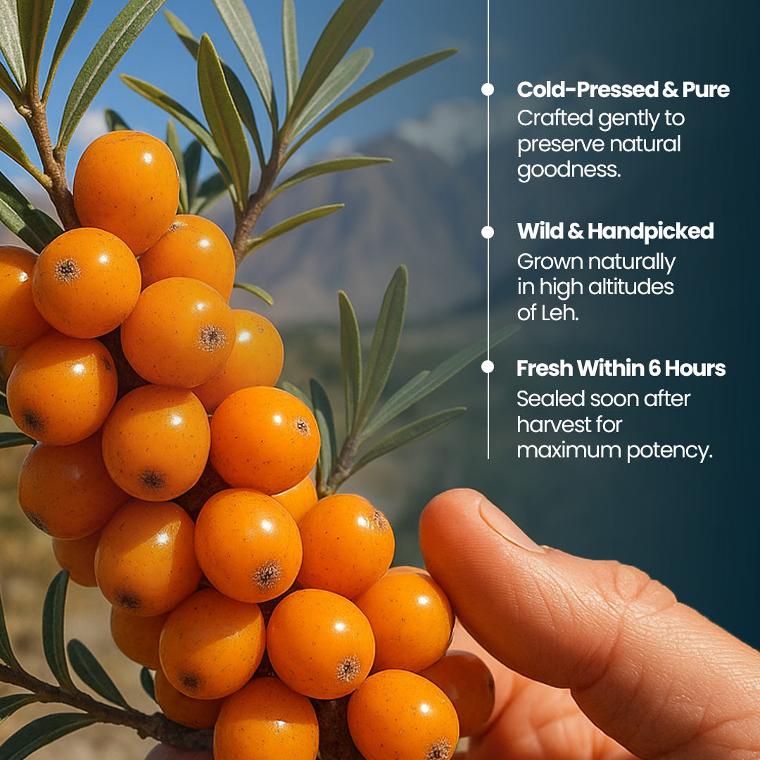 Krishna'S Herbal & Ayurveda Sea Buckthorn Juice | Grocsy