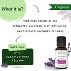 Mystiq Living Originals Lavender Essential Oil | Grocsy