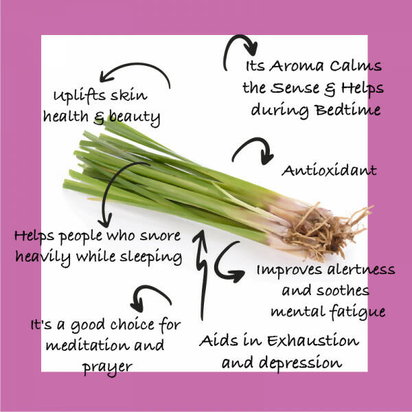Sarva by Anadi Vetiver Pure Essential Oil | Grocsy
