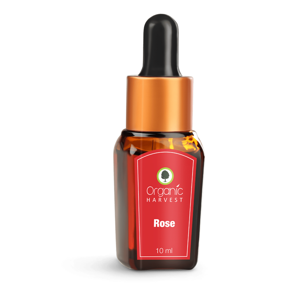 Organic Harvest Rose Essential Oil | Grocsy
