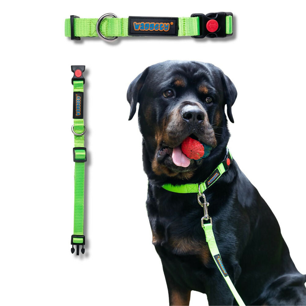Waggety Padded Dog Collar - Adjustable, Comfortable Fit, Durable Polyester - Green | Grocsy
