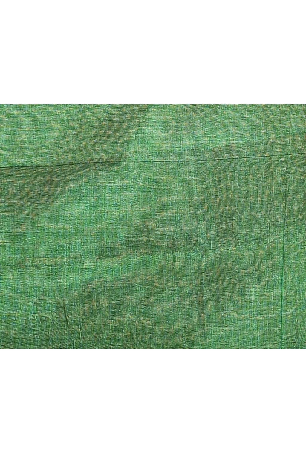Piyari Fashion Women's Green Dual Tone Organic Tissue Saree With Blouse Piece | Grocsy