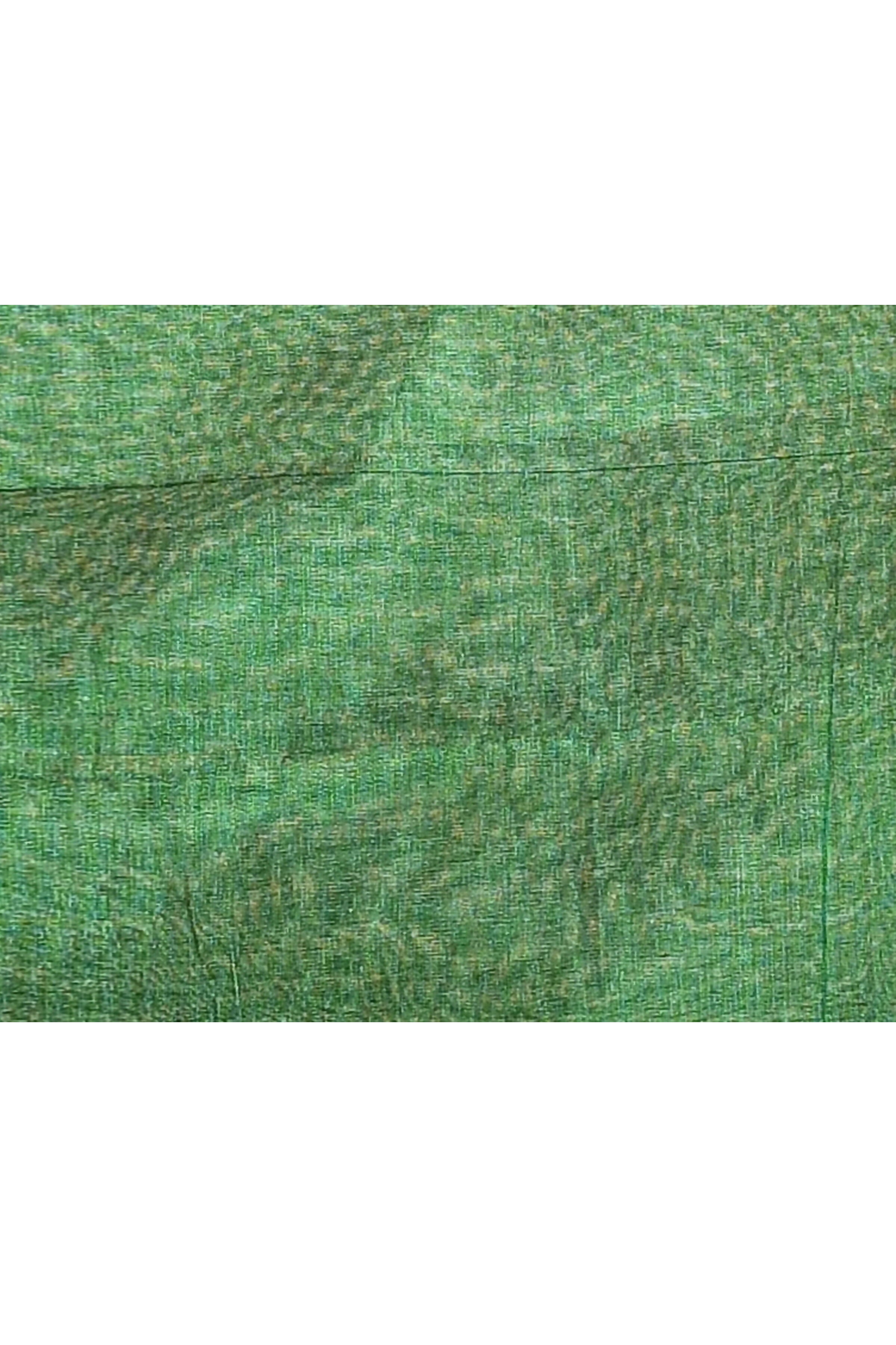 Piyari Fashion Women's Green Dual Tone Organic Tissue Saree With Blouse Piece | Grocsy