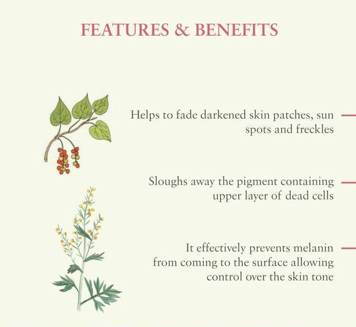 Just Herbs Blemfree Antiblemish Cream | Grocsy