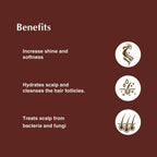 Dwibhashi Vatada Tel Almond Oil | Grocsy
