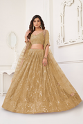 Eilara Beige Sequin Thread Embroidered Net Lehenga Set | Grocsy