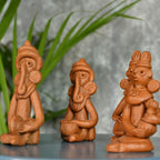 Sowpeace The time of tribals | Grocsy