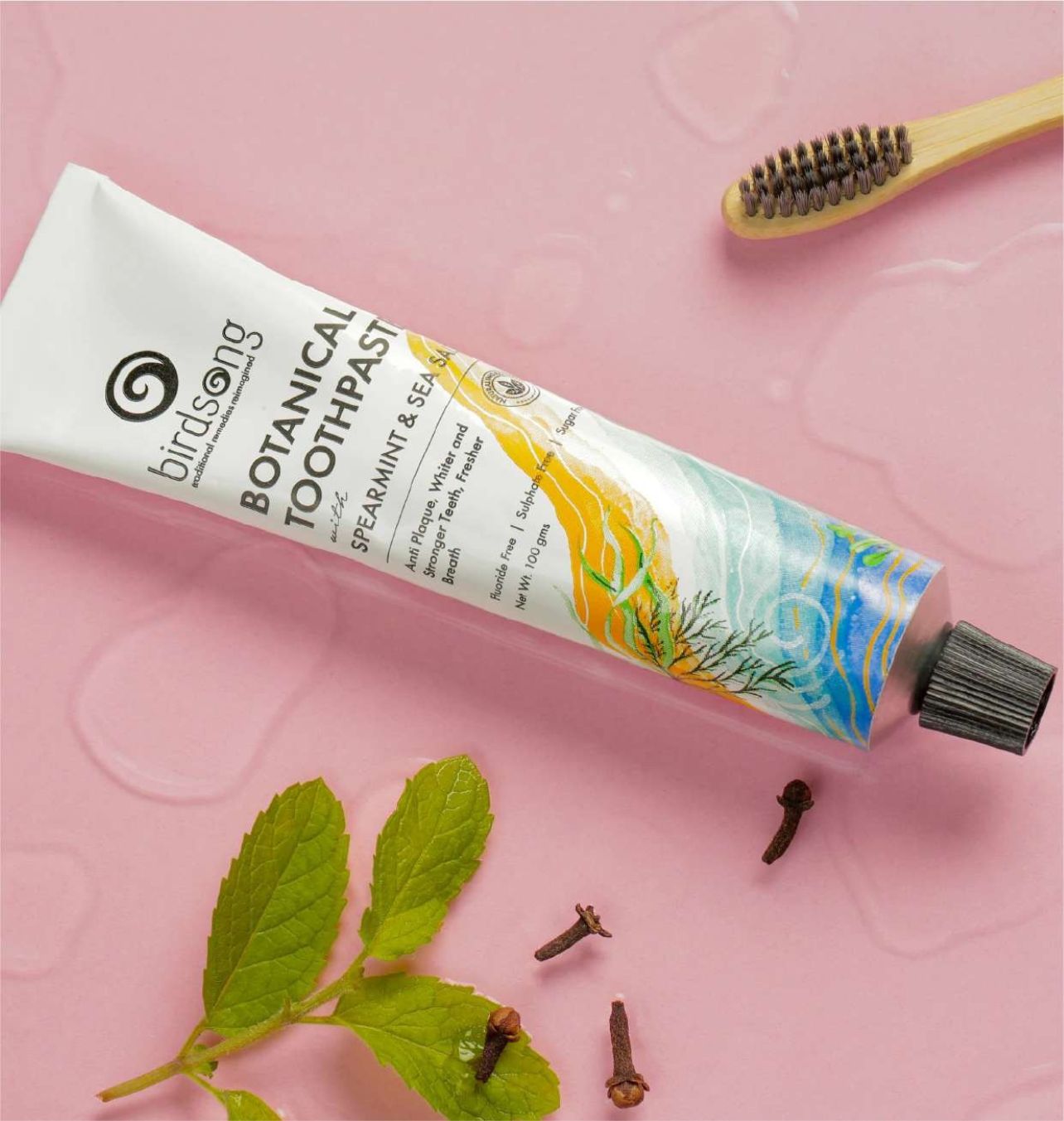 Birdsong Botanical Sea Salt and Spearmint Toothpaste | Grocsy