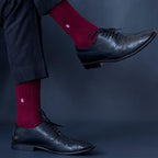 Socksoho Luxury Men Socks Corporate Giftbox | Grocsy
