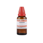 Dr. Willmar Schwabe India Oophorinum Dilution | Grocsy
