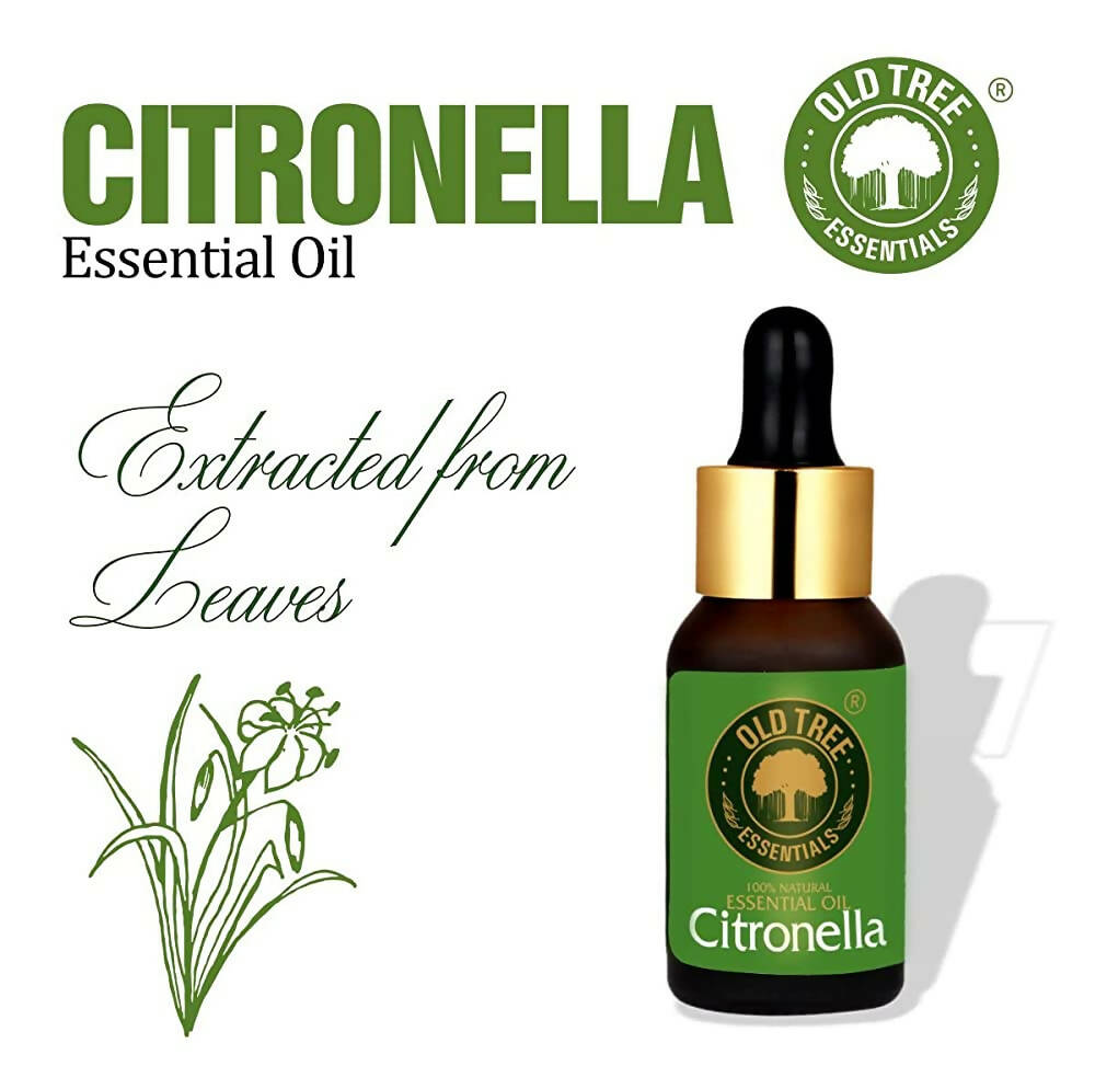 Old Tree Citronella Essential Oil | Grocsy