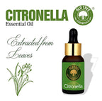 Old Tree Citronella Essential Oil | Grocsy