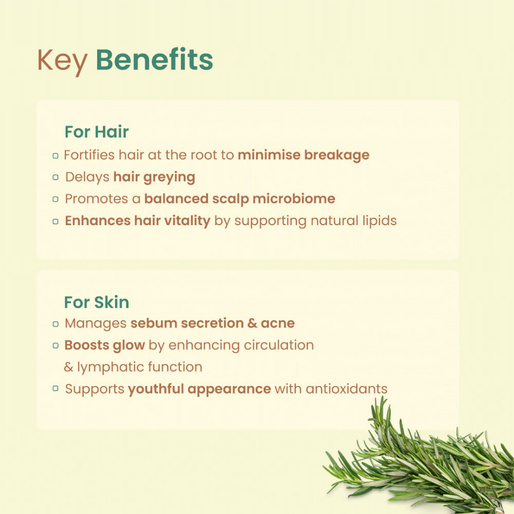 Nat Habit Rosemary Essential Oil | Grocsy