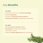 Nat Habit Rosemary Essential Oil | Grocsy