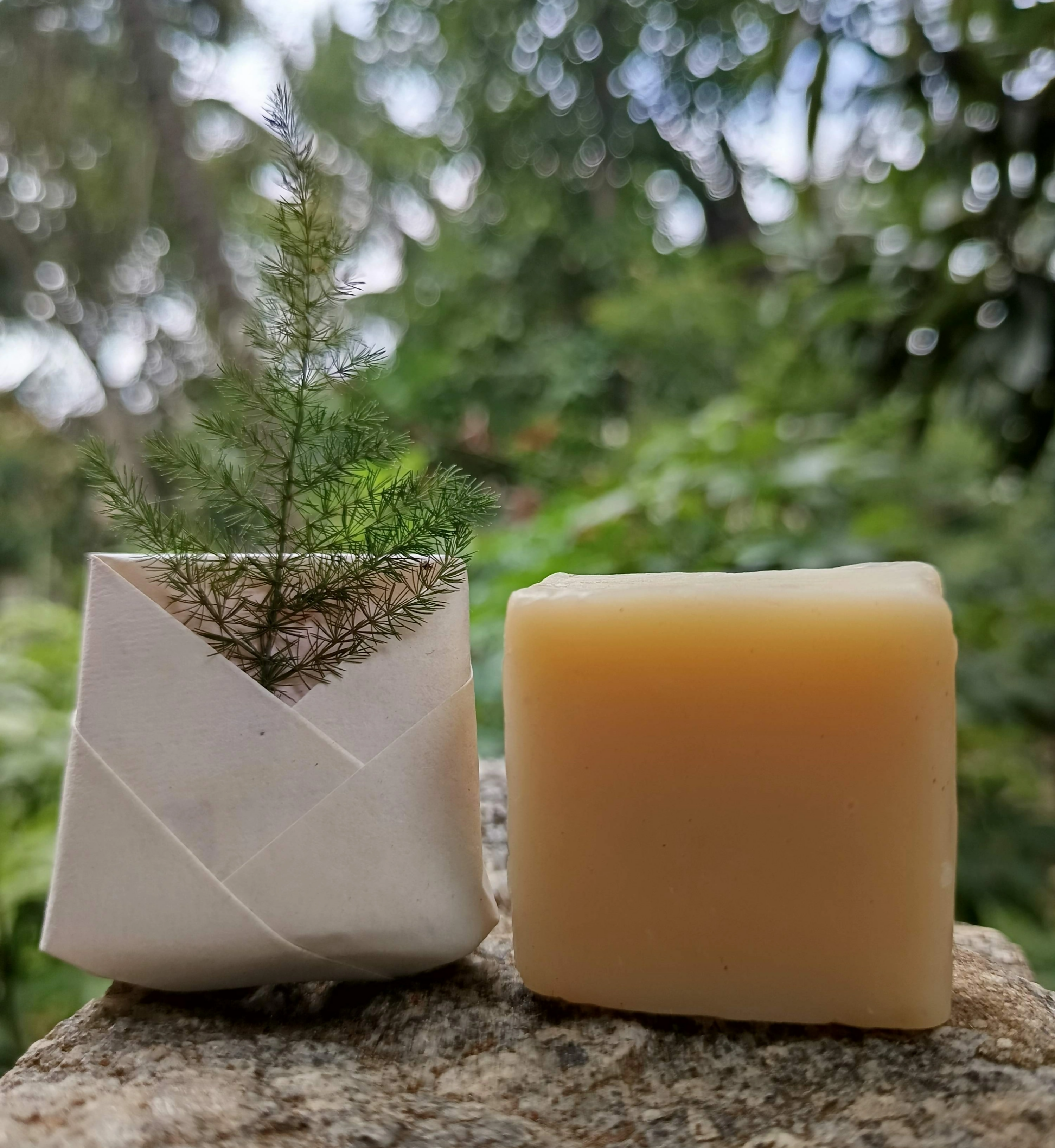 Coconess Rose & Milk Soap | Grocsy
