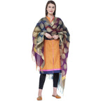 A R Silk Women's Zari Embroidery With Rainbow Colour Vanarsi Silk Rainbow Multi Dupattas aMulti Colourd Chunnis | Grocsy