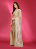 PR Fashion Bronze Jimmy Choo Fabric Palin With Work Lace Saree | Grocsy