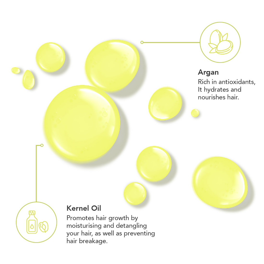 Professional O3+ Oil De Moroccan With Pure Argan Serum For All Hair Types | Grocsy