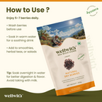 Wellwith Sea Buckthorn Dry Berry | Grocsy