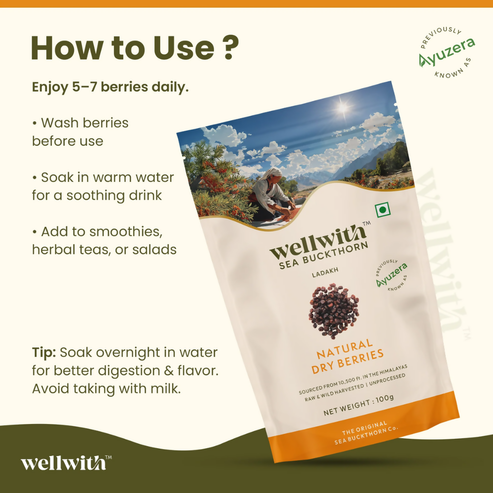 Wellwith Sea Buckthorn Dry Berry | Grocsy