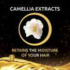 Palmolive Luminous Oil Argan Oil & Camelia Shampoo | Grocsy