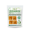 Yuvagrow Pure Mango Halwa | Grocsy