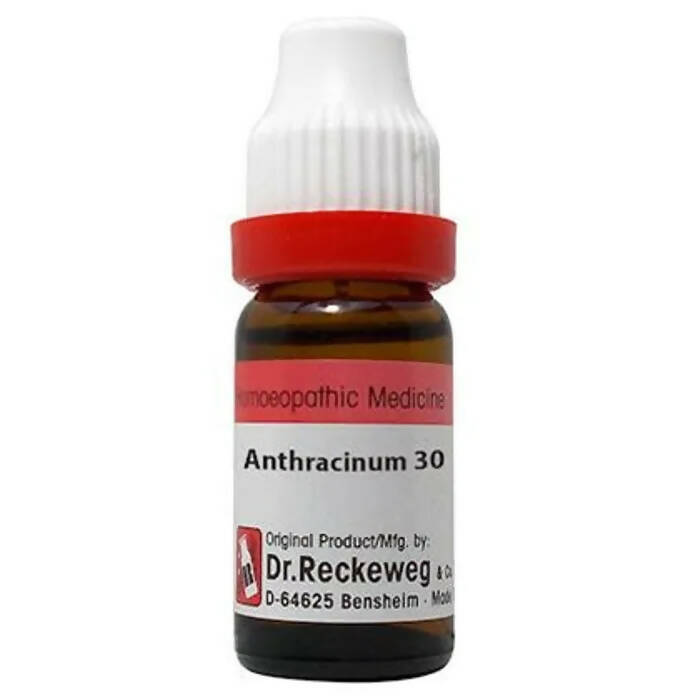 Dr. Reckeweg Anthracinum Dilution | Grocsy