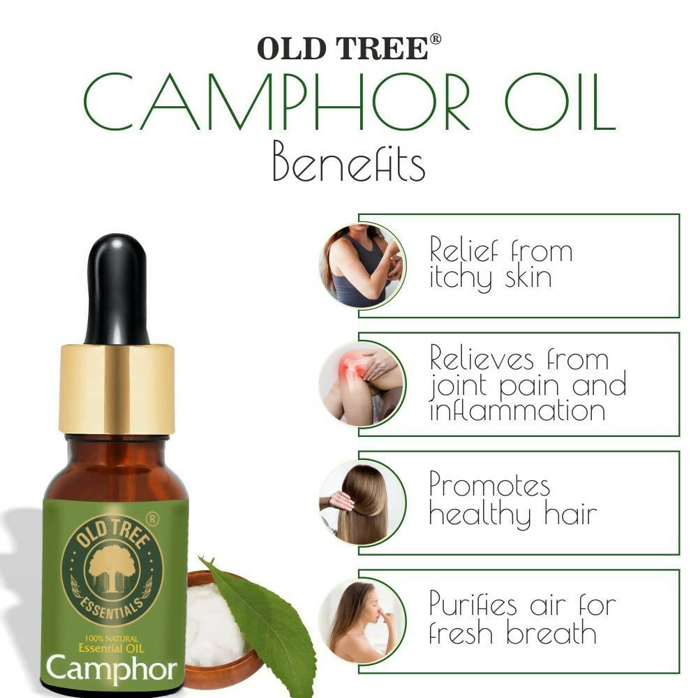 Old Tree Camphor Essential Oil | Grocsy