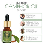 Old Tree Camphor Essential Oil | Grocsy