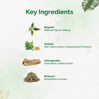 Dr. Vaidya's Pain Relief Oil | Grocsy