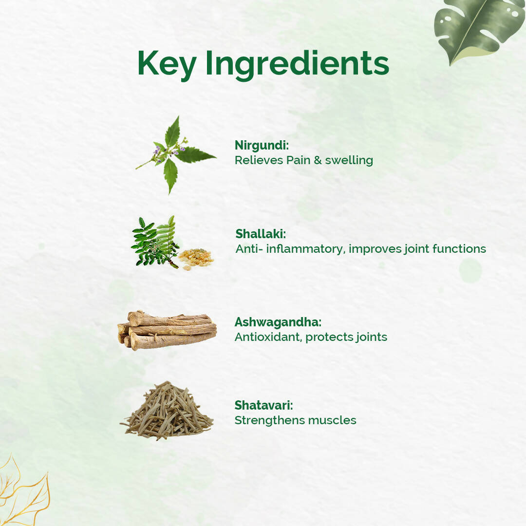 Dr. Vaidya's Pain Relief Oil | Grocsy