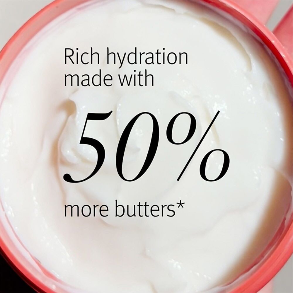 Aveda Nutriplenish Mask for Dry and Frizzy Hair | Grocsy