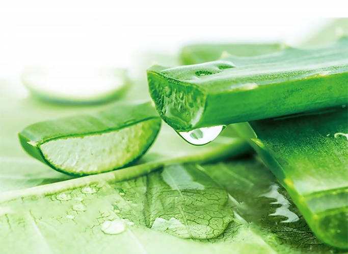 Herbal Essences Sulfate Free potent Aloe +Bamboo Real Botanicals Strength Conditioner | Grocsy