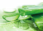 Herbal Essences Sulfate Free potent Aloe +Bamboo Real Botanicals Strength Conditioner | Grocsy
