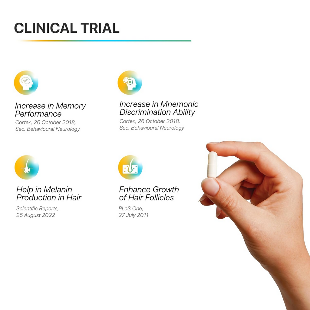 Decode Age 98% Spermidine Trihydrochloride Capsules | Grocsy