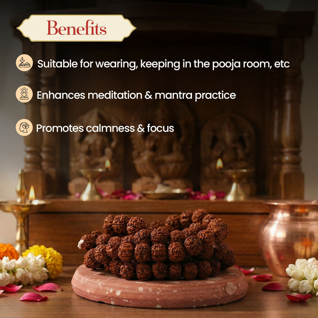 Pujashree Rudraksh Mala Medium 13mm – Divine Spiritual Beads for Puja, Yoga & Daily Meditation | Grocsy