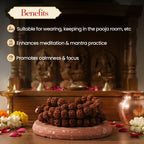 Pujashree Rudraksh Mala Medium 13mm – Divine Spiritual Beads for Puja, Yoga & Daily Meditation | Grocsy