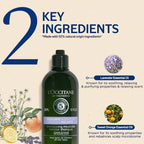 L'Occitane Gentle & Balance Micellar Shampoo | Grocsy