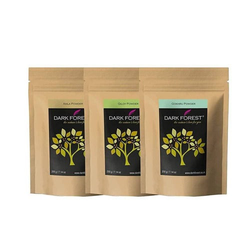 Dark Forest Rasayan Churna (Giloy,Gokhru,Amla) - 600g | Grocsy
