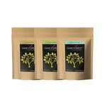 Dark Forest Rasayan Churna (Giloy,Gokhru,Amla) - 600g | Grocsy