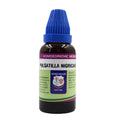 Father Muller Pulsatilla Nigricans Mother Tincture Q | Grocsy