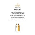 GK Hair Gold Shampoo for Luminous Hair | Grocsy