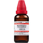 Dr. Willmar Schwabe India Rhododendron Chrysanthum Dilution | Grocsy