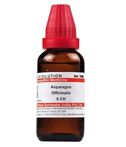 Dr. Willmar Schwabe India Asparagus Officinalis Dilution | Grocsy