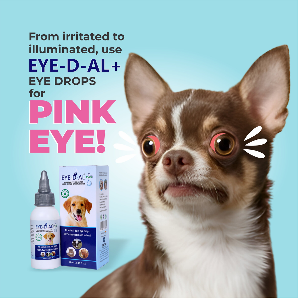 Satya Pharmaceuticals Ayurveda Eye-D-Al Plus Eye Drops | Grocsy