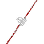 trueBrowns X Voylla Sterling Silver Trishul Rakhi | Grocsy