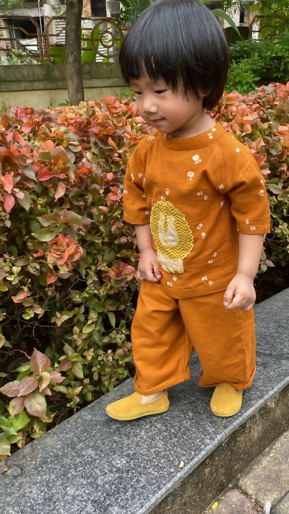 Mhyssa Oscar Half Sleeve Orange and Yellow T-shirt With Full Length Pant Set For Kids | Grocsy