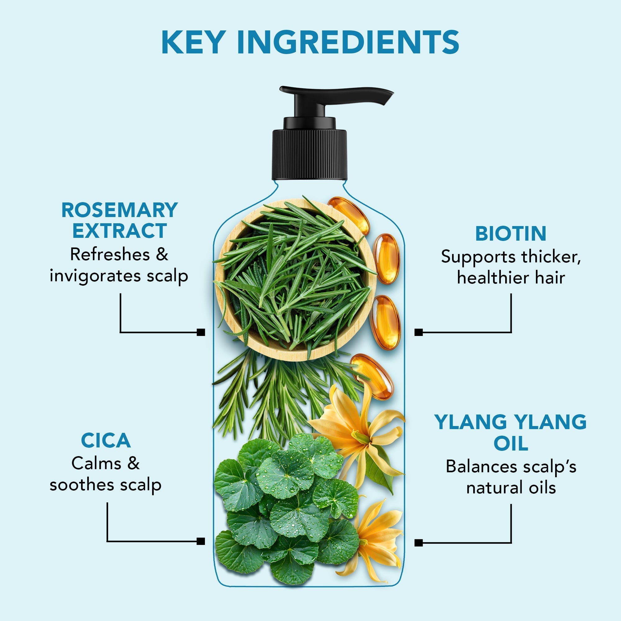 Botanic Hearth Volume & Growth Shampoo with blend of Rosemary & Cica | Grocsy
