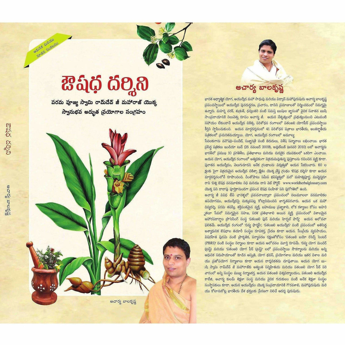 Patanjali Aushadh Darshan - ( Telugu Edition) Baba Ramdev | Grocsy